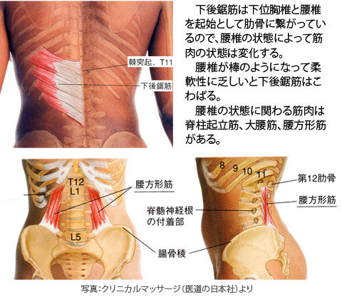 下後鋸筋のこわばり