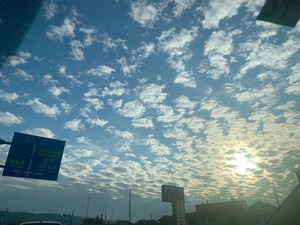IMG_9885