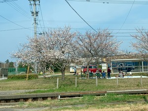 IMG_9528