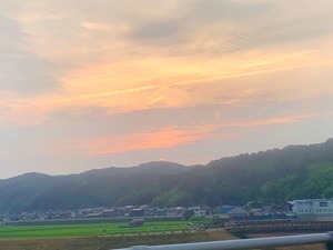 IMG_8998