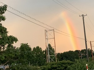 IMG_1787