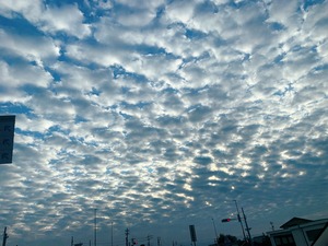 IMG_9884