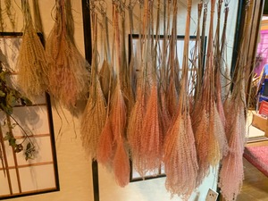 IMG_4032