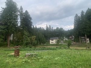 IMG_8316