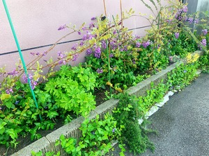 IMG_5880