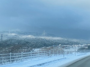 IMG_2348