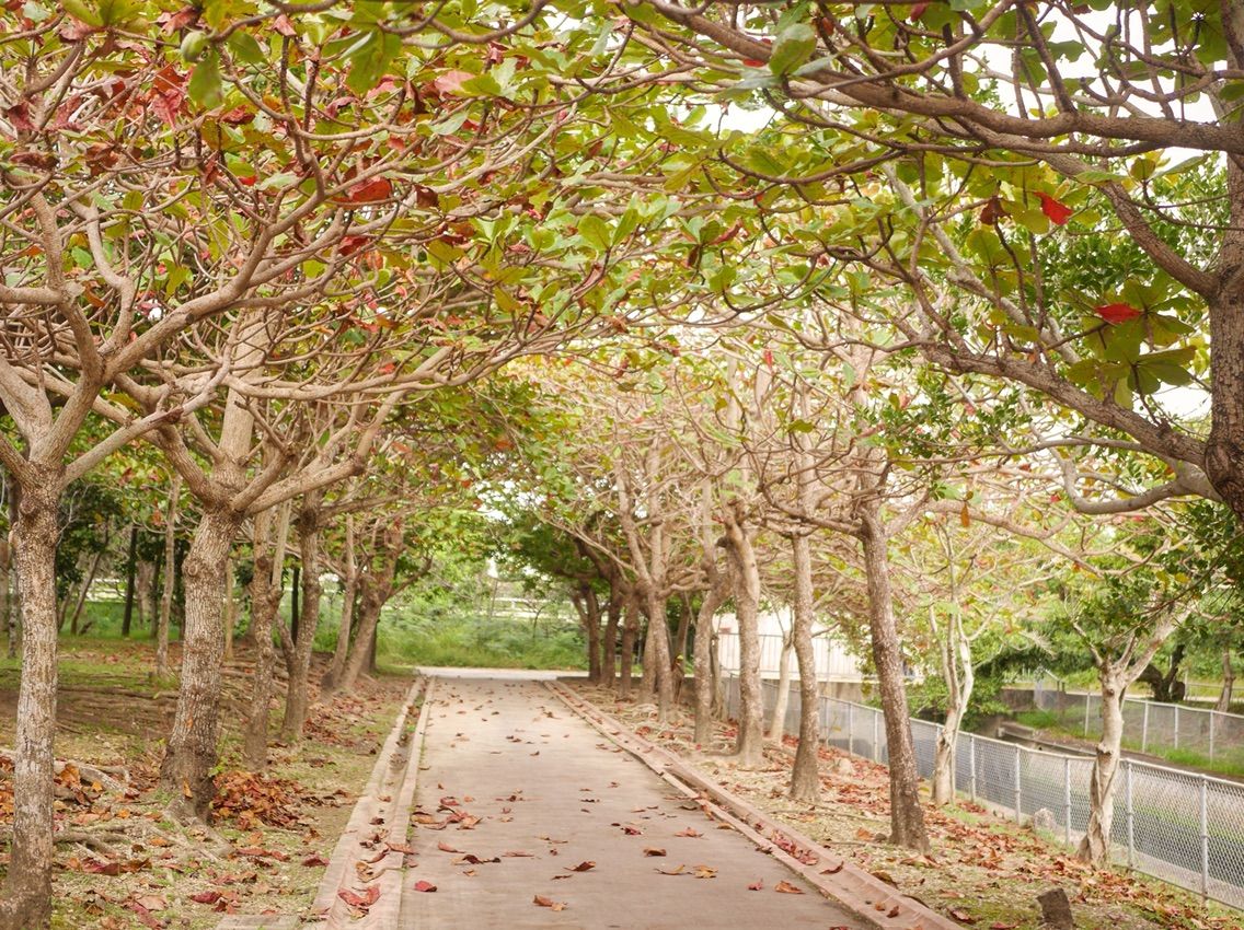 日本一呼びづらい公園 漫湖公園 まんここうえん でお散歩してきました 沖縄編集者の末路