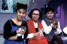 やっぱり猫が好き」 : Happy Together