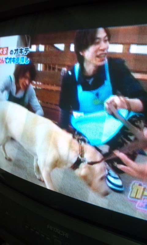 Kat Tunと犬の幼稚園 ソナチネ日記 ハイ ゆりっちです ノ Kat Tunと犬の幼稚園 ソナチネ日記 ハイ ゆりっちです ノ