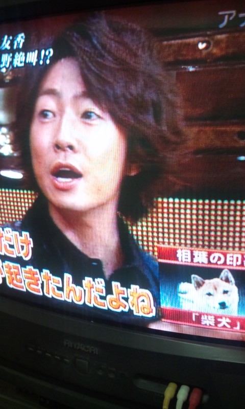 ニノは毛の無い犬 ソナチネ日記 ハイ ゆりっちです ノ ニノは毛の無い犬 ソナチネ日記 ハイ ゆりっちです ノ
