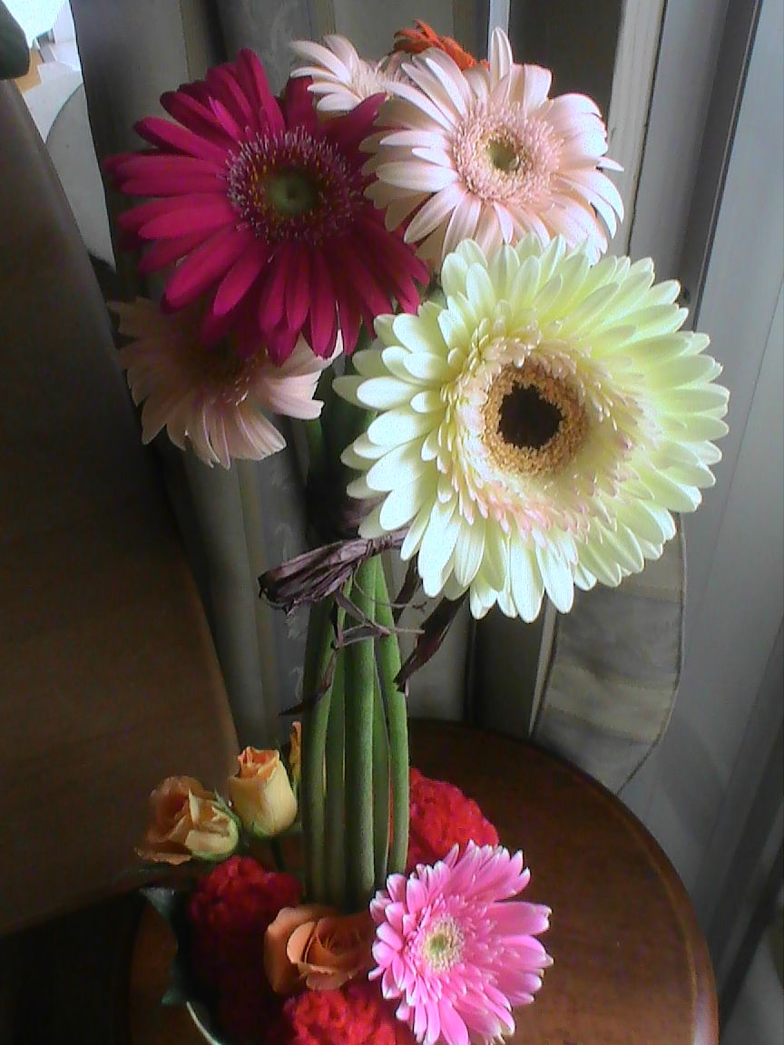 カラフルなガーベラをケイトウの花留めで Love Flower And Ohana