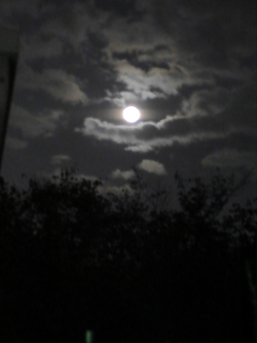 月の綺麗な夜は Yumi Barua S Hanaism Blog