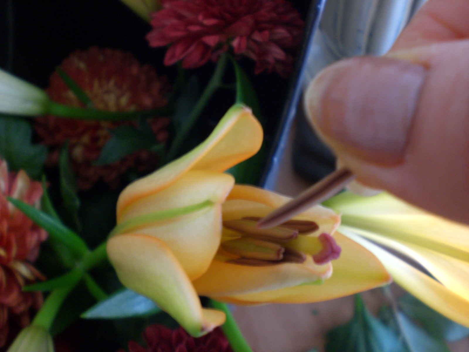 生花を長持ちさせる花の種類ごとのコツ Yumi Barua S Hanaism Blog