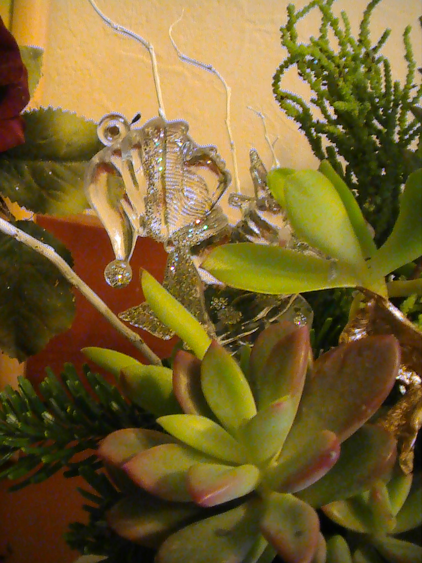 多肉植物のキャンドルアレンジと可愛い生徒さん Yumi Barua S Hanaism Blog