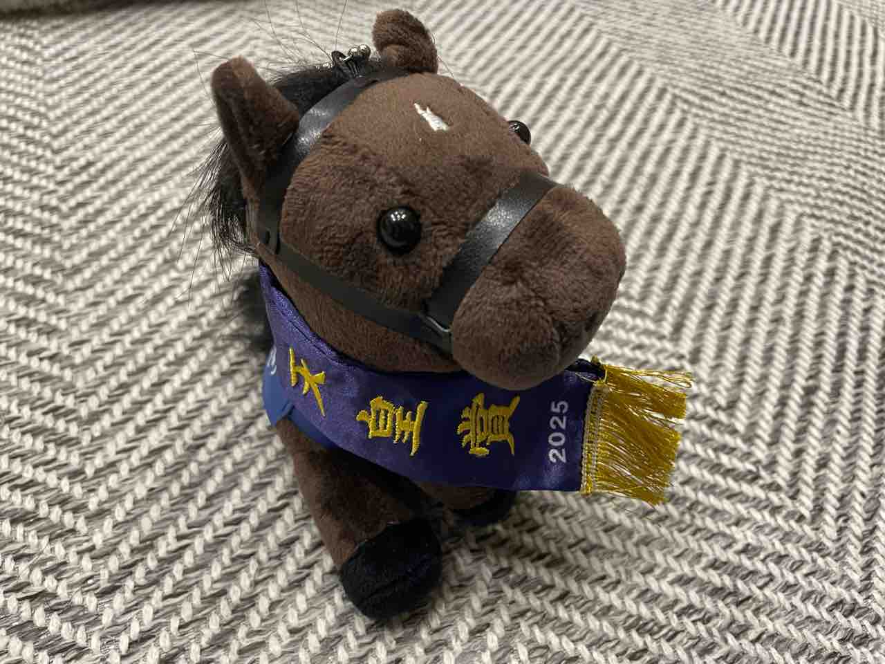 アイドルホースSelection ヘデントール : Yumichin☆News 3rd