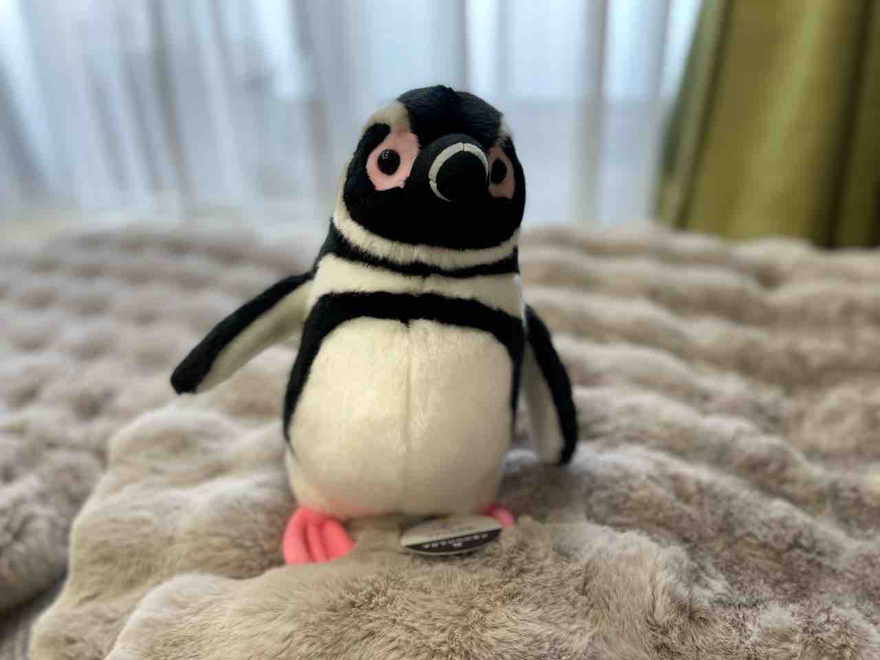 ぬいぐるみ オオサンショウウオ、ペンギン レア