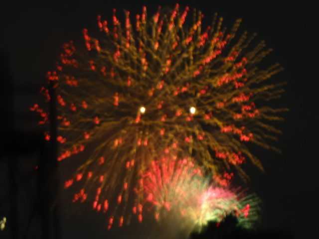くきのうみ花火の祭典 花の旅