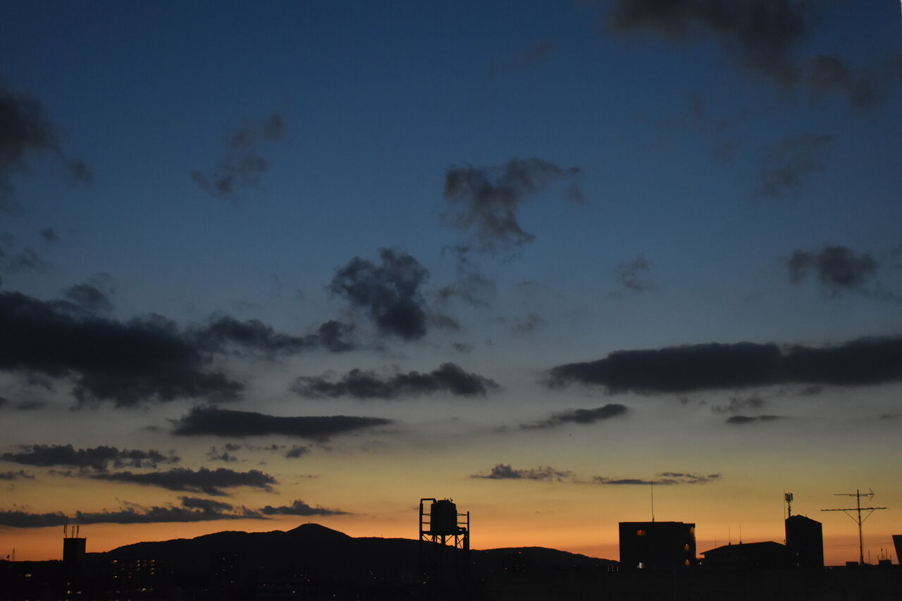 今日の夕焼け 花の旅