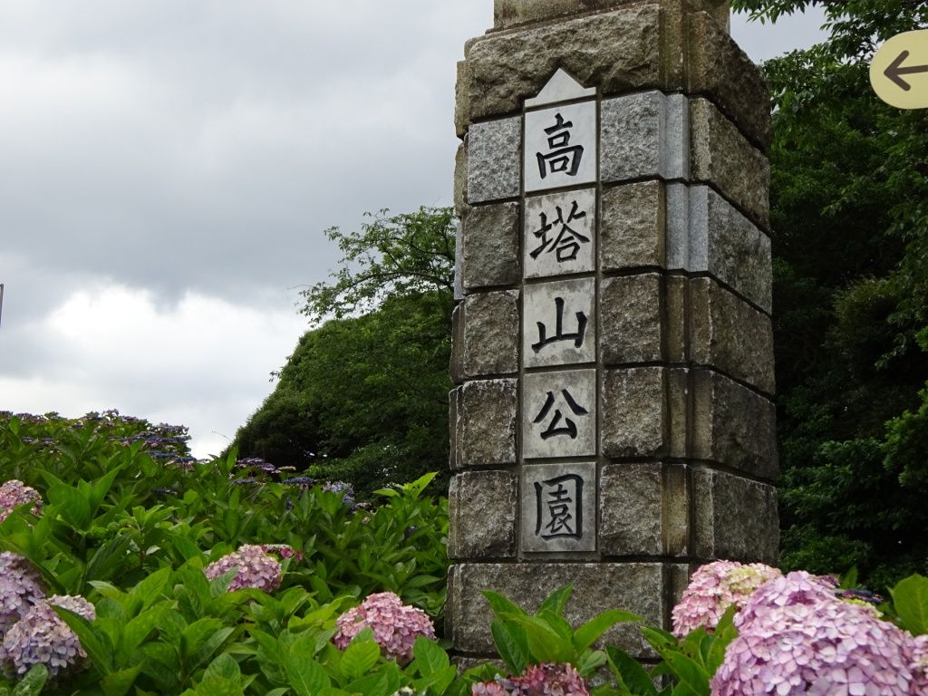 高塔山公園 あじさいまつり 花の旅