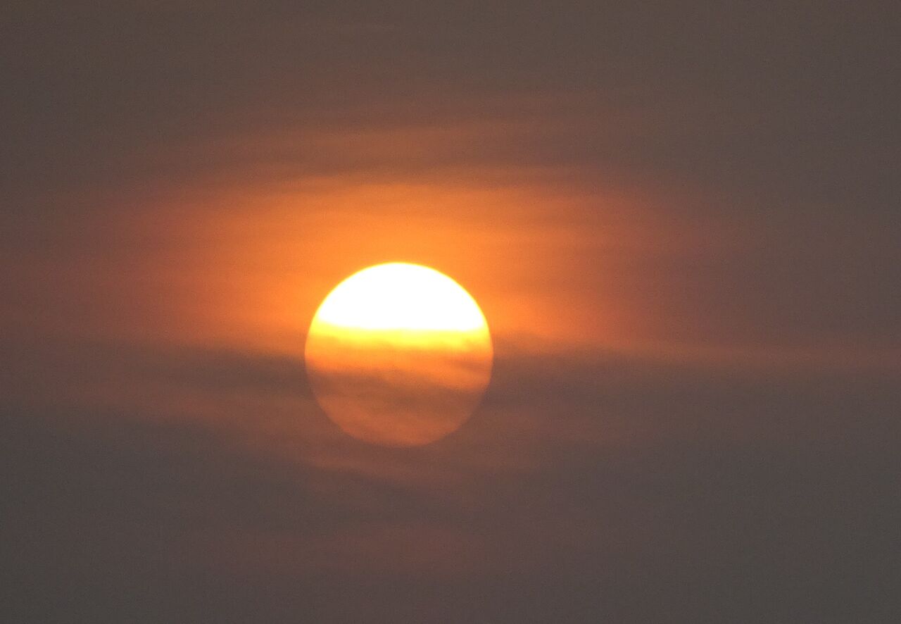 沈む太陽 花の旅