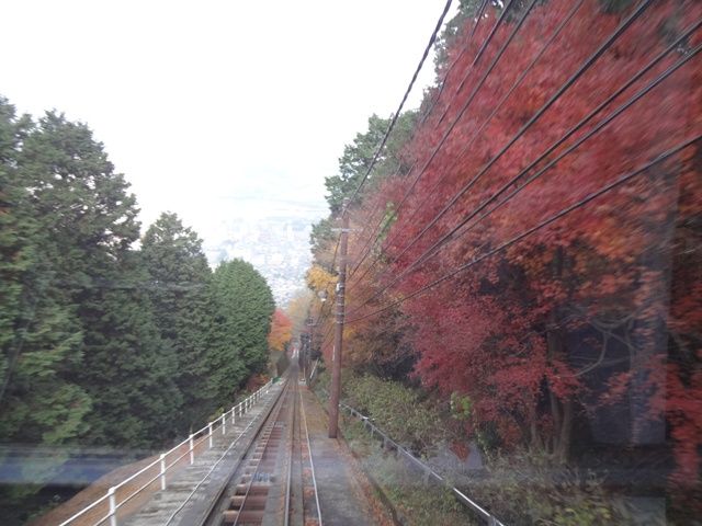 紅葉の皿倉山 花の旅 紅葉の皿倉山 花の旅