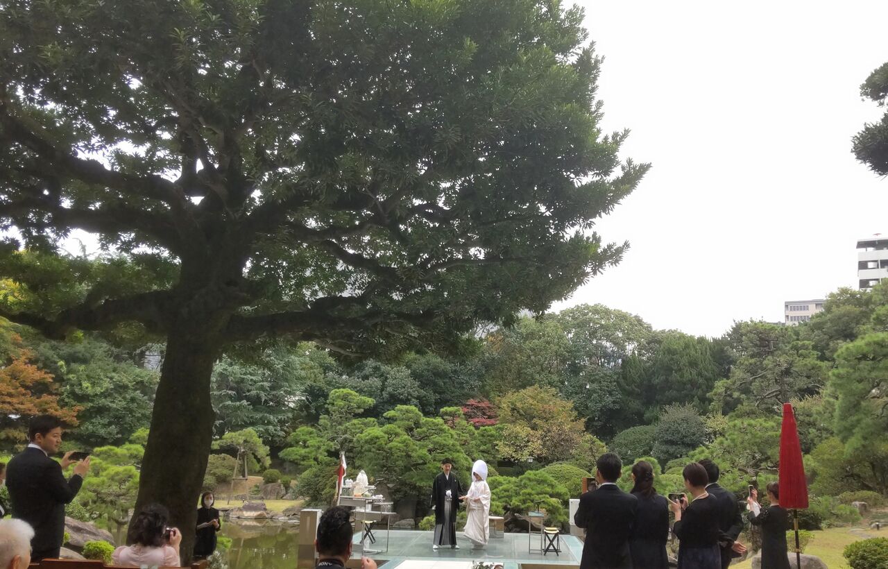 大安吉日 : 花の旅