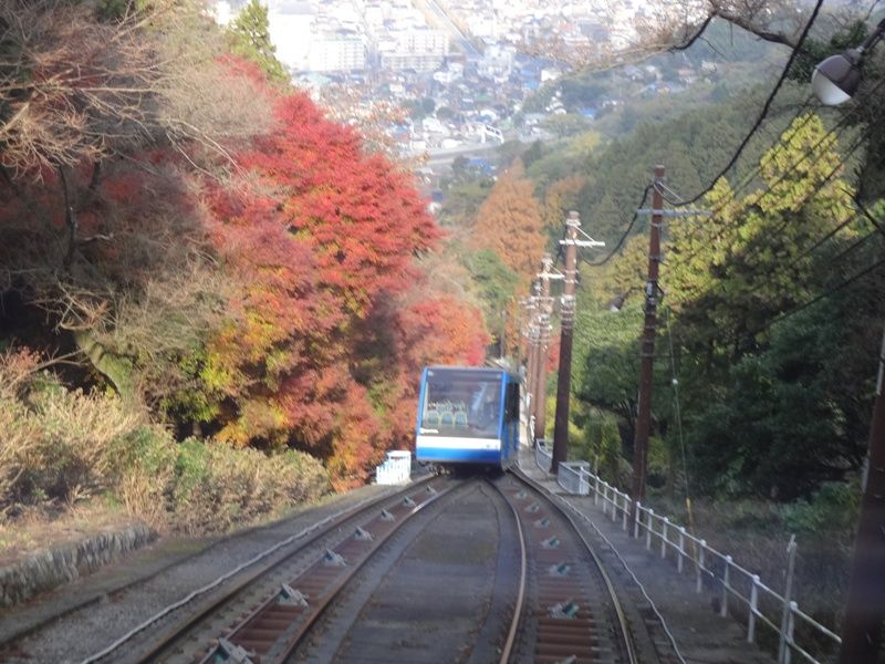 紅葉の皿倉山 花の旅 紅葉の皿倉山 花の旅