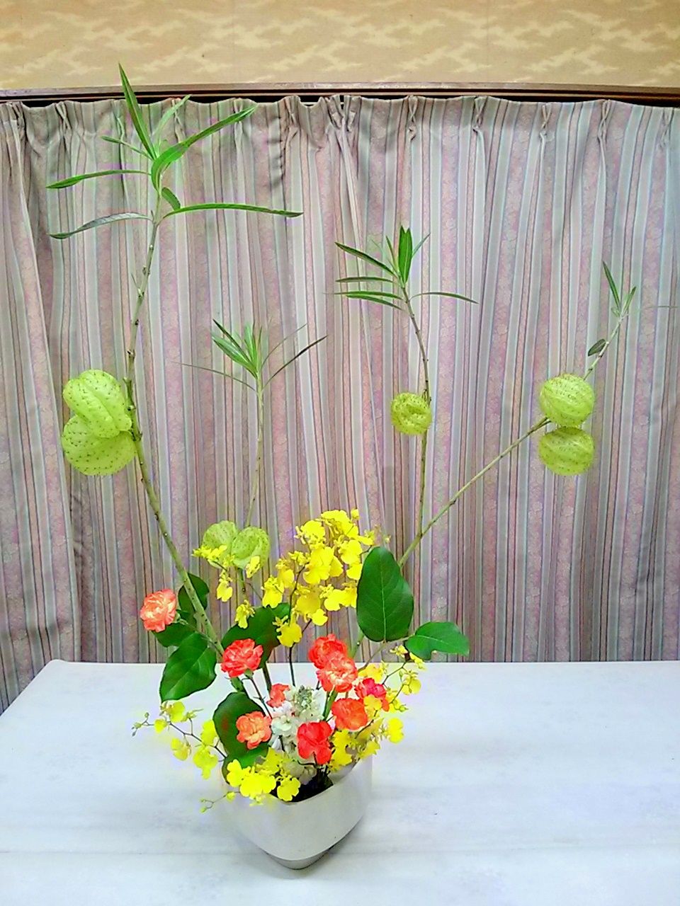 風船唐綿 今週のいけばな ゆみきちの花 華diary