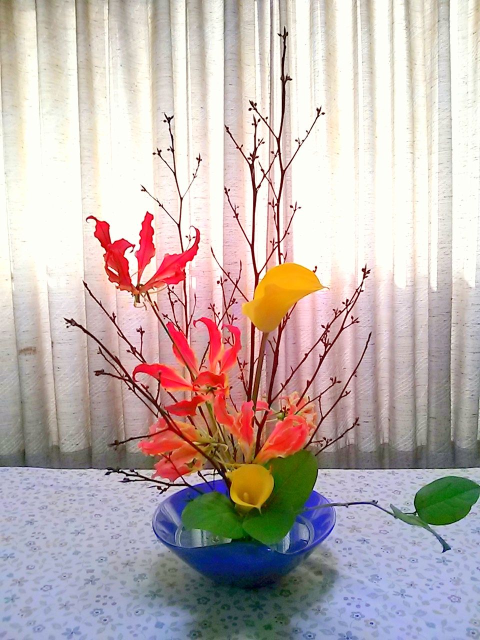 黒文字 今週のいけばな ゆみきちの花 華diary