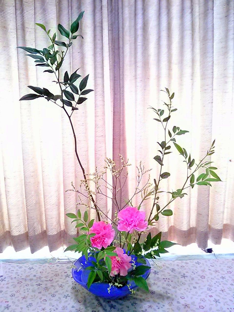 ソケイ 今週のいけばな ゆみきちの花 華diary