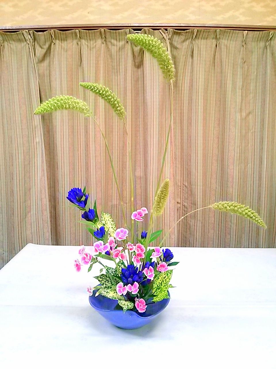 粟 今週のいけばな ゆみきちの花 華diary