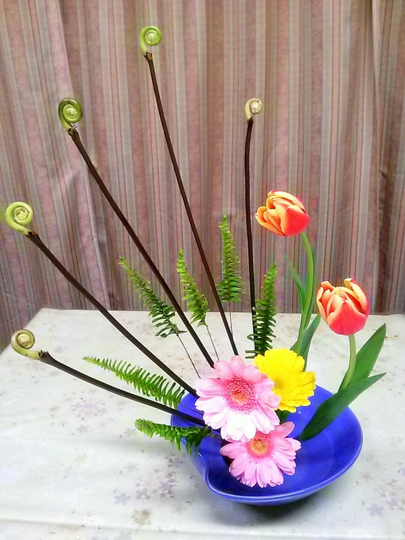 薇 ゼンマイ ゆみきちの花 華diary