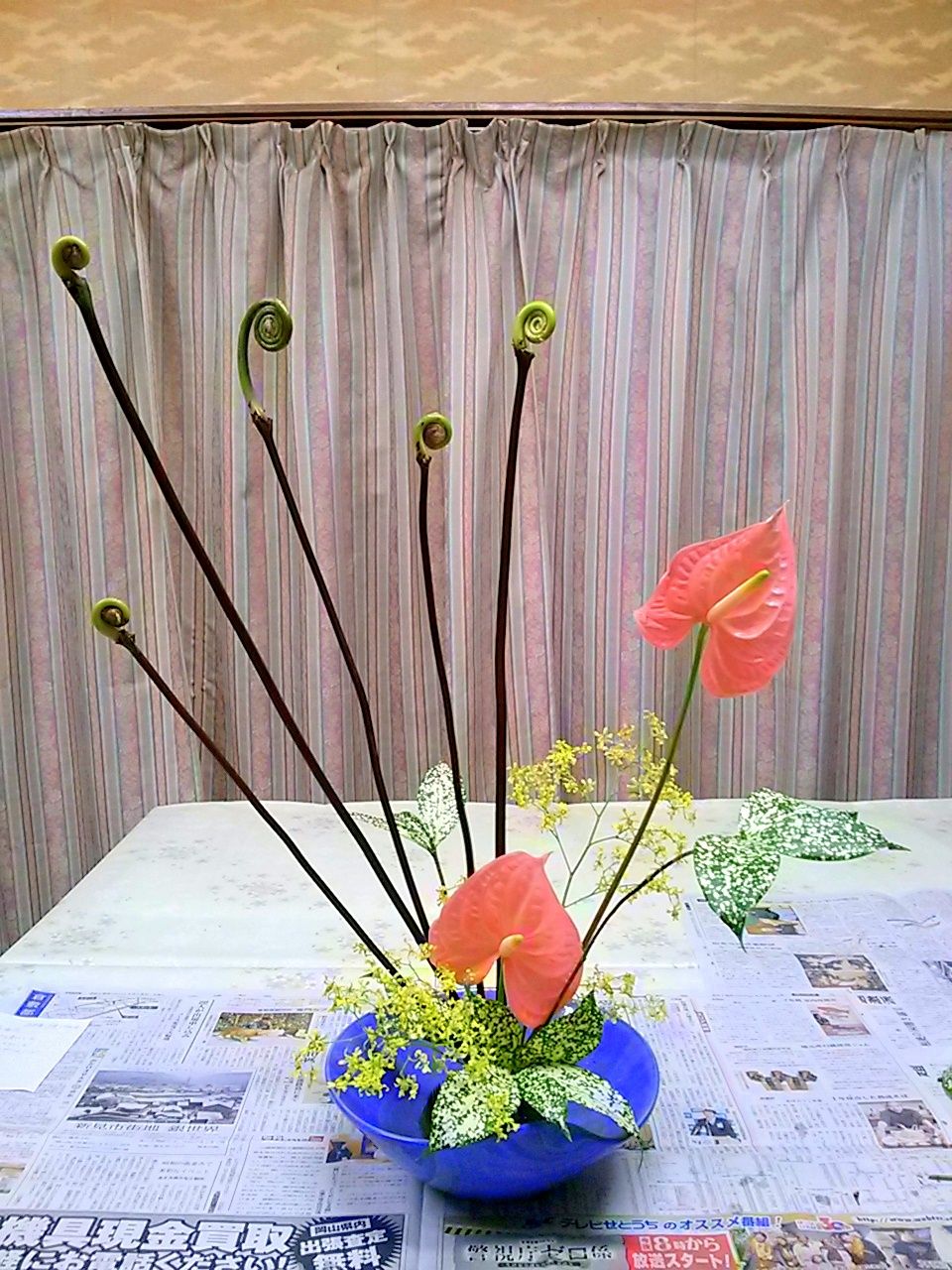 ぜんまい 今週のいけばな ゆみきちの花 華diary