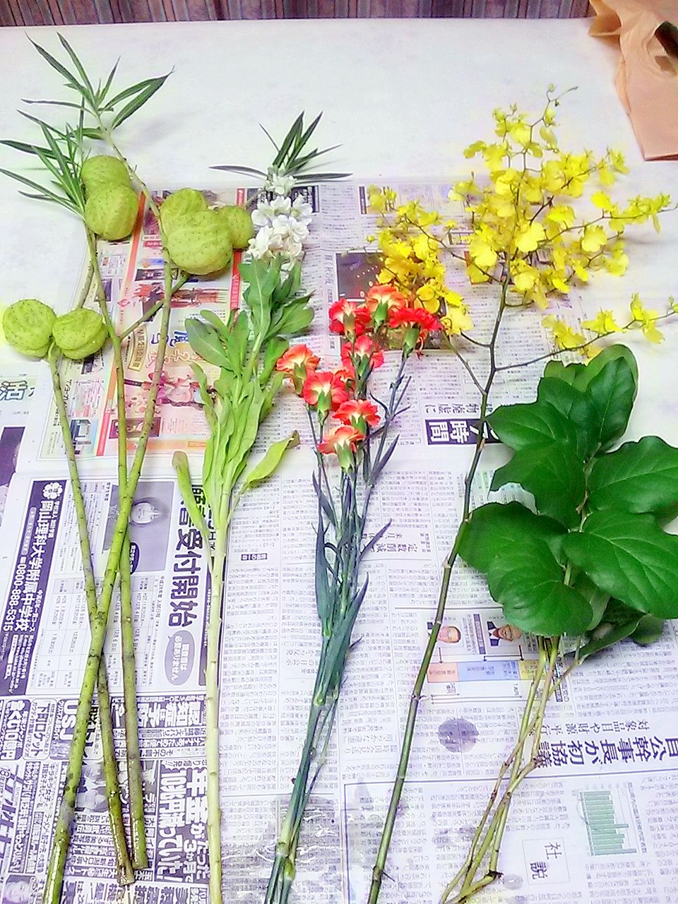 風船唐綿 今週のいけばな ゆみきちの花 華diary