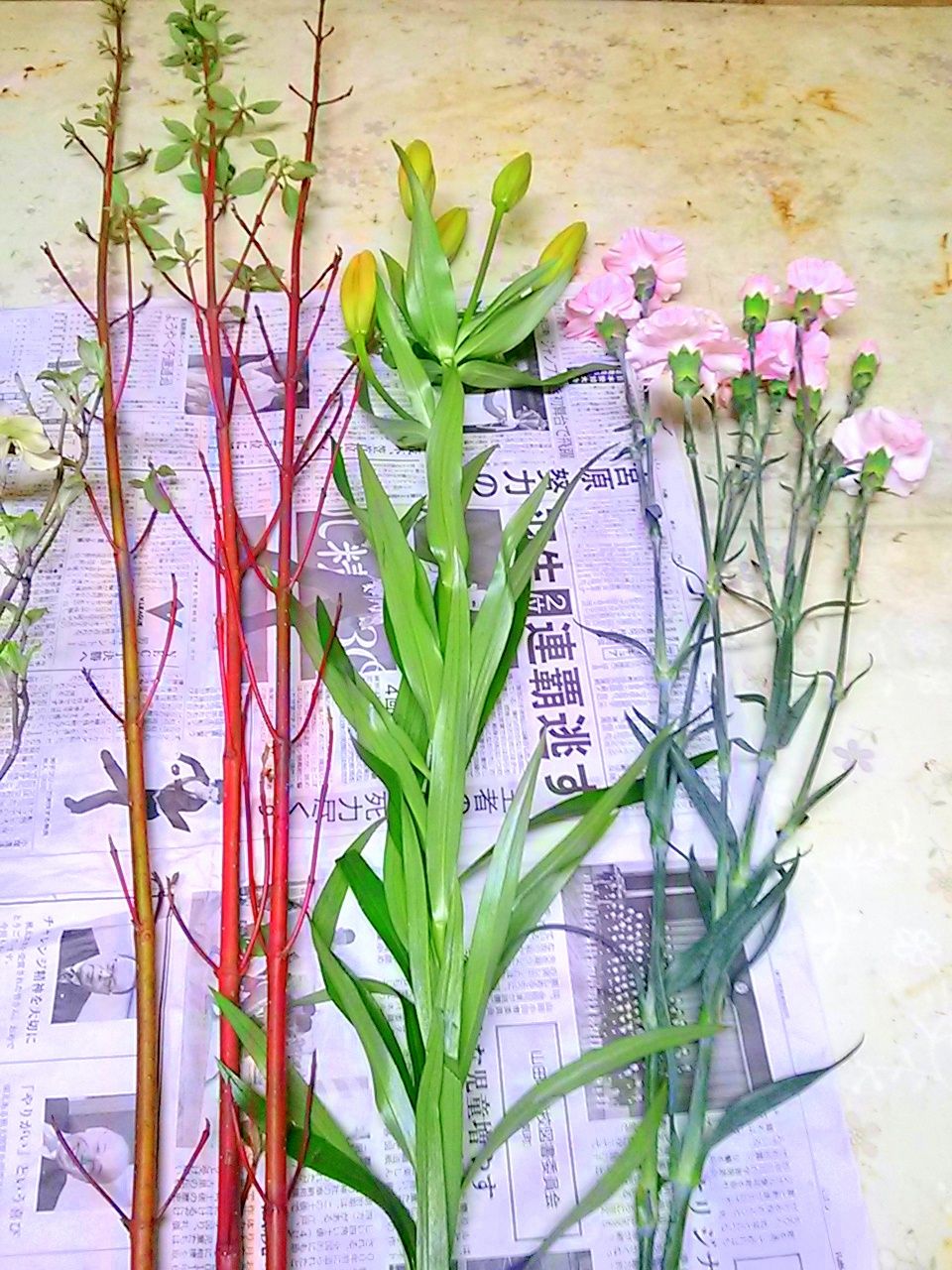 珊瑚水木と花水木 今週のいけばな ゆみきちの花 華diary 珊瑚水木と花水木 今週のいけばな ゆみきちの花 華diary