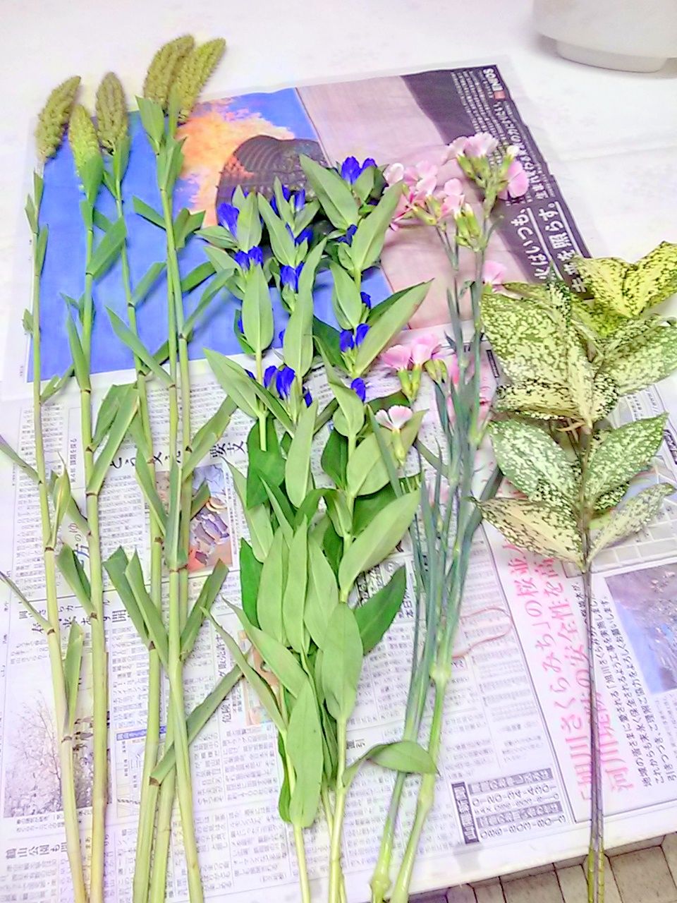 粟 今週のいけばな ゆみきちの花 華diary 粟 今週のいけばな ゆみきちの花 華diary