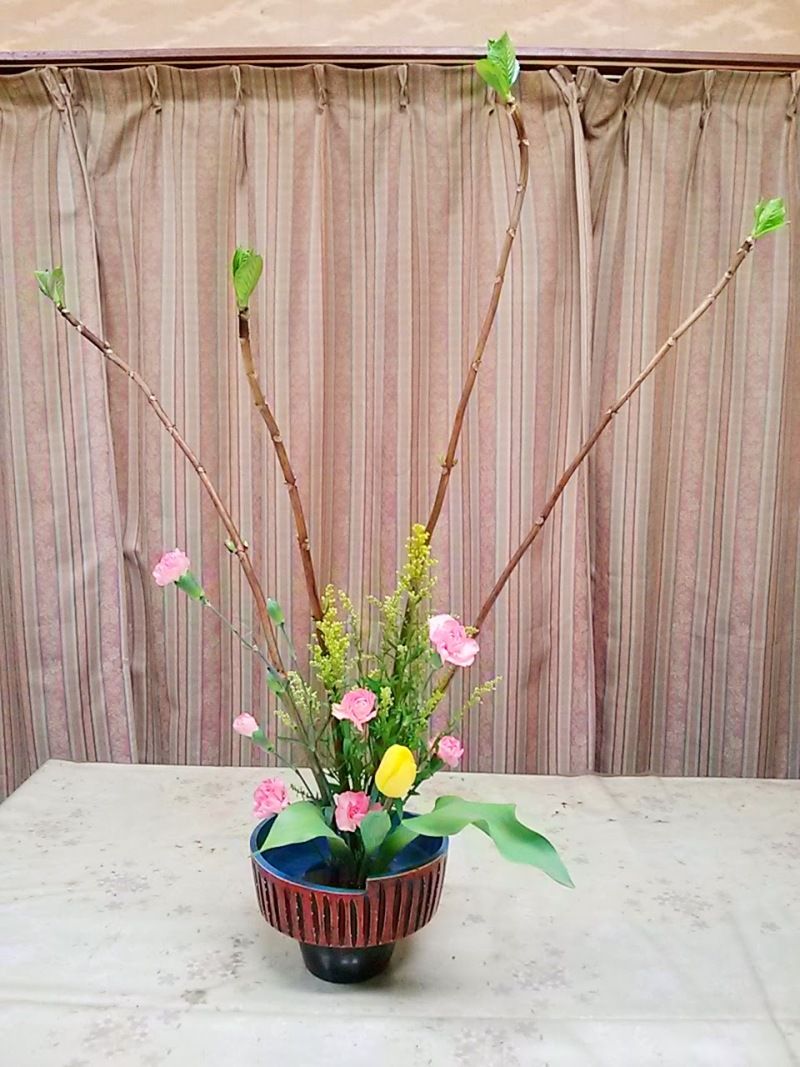 ソリダゴ ゆみきちの花 華diary