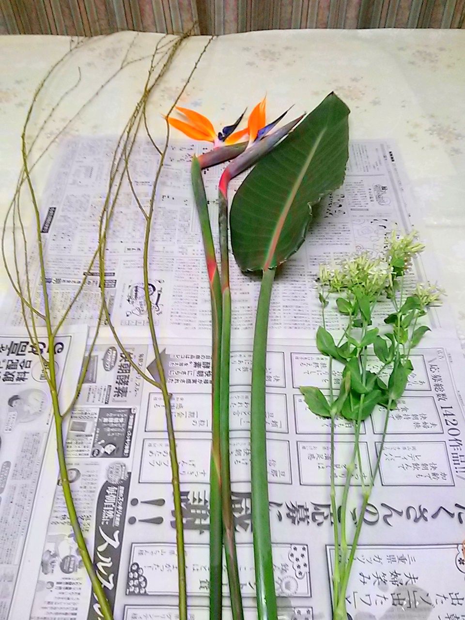 枝垂れ柳 今週のいけばな ゆみきちの花 華diary