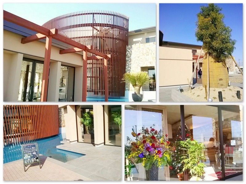 おいしいきもち ドンレミー アウトレット ゆみきちのコロコロ日記