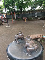 IMG_1332