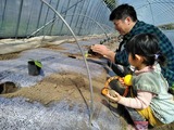 IMG_20200317_110327
