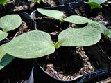 IMG_20200410_100536
