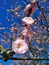 IMG_20210303_104139