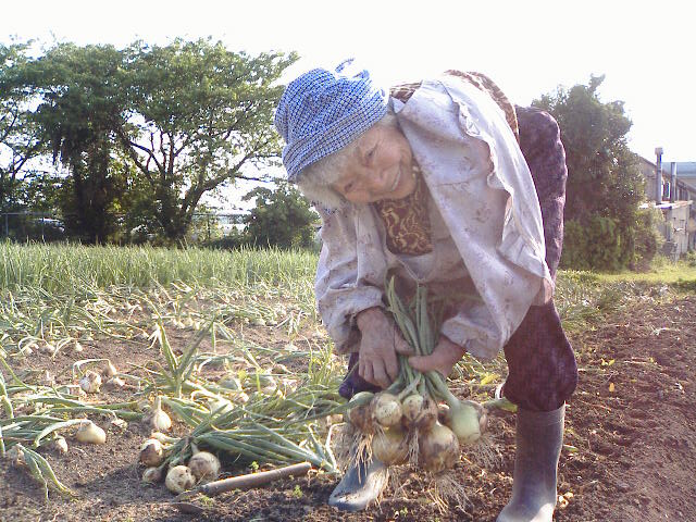 私の 苦労 なんてハナクソ 農家の嫁のもぎたてな毎日