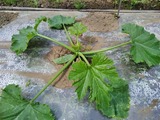 IMG_20200407_102558