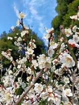 IMG20220309160631