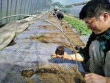 IMG_20200317_110811