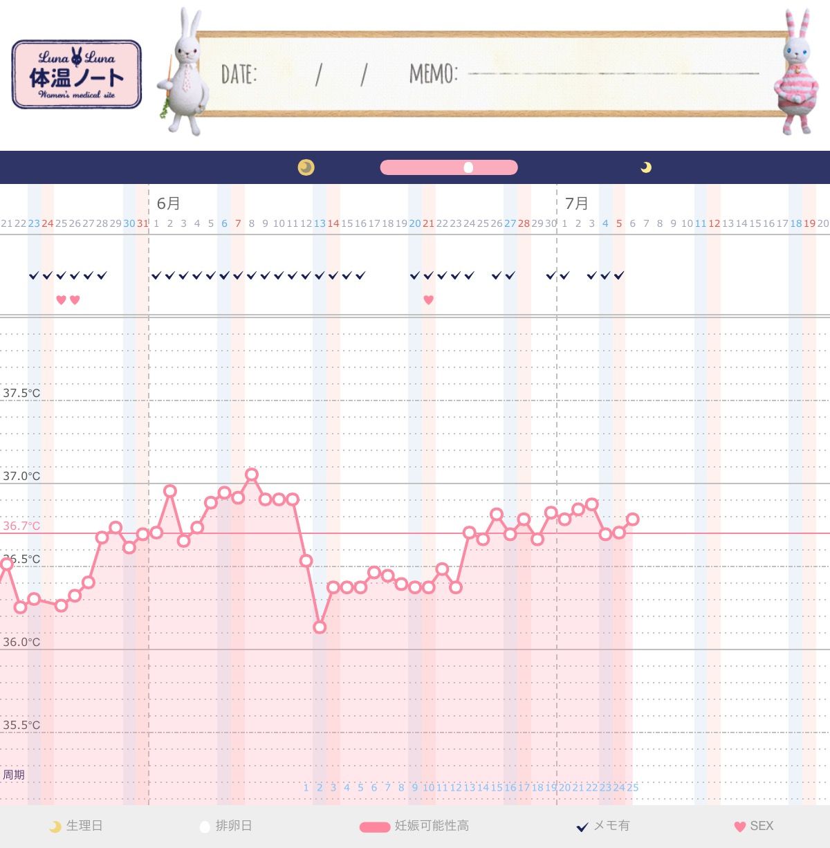 高温期１５日目 二人目の妊活日記 授かれますように