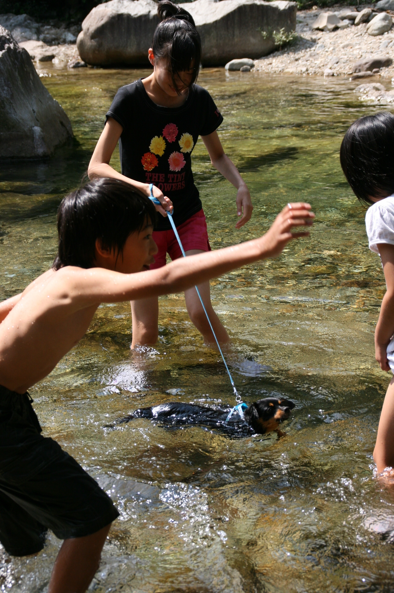 川遊び ゆうゆの雑想