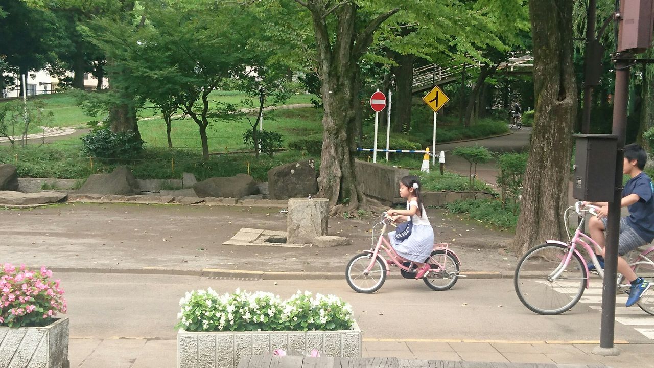 大泉交通公園に行きました 埼玉県戸田市のママとベビーが笑顔になる布団とオーダー枕の専門店のブログ 大泉交通公園に行きました 埼玉県戸田市のママとベビーが笑顔になる布団とオーダー枕の専門店のブログ
